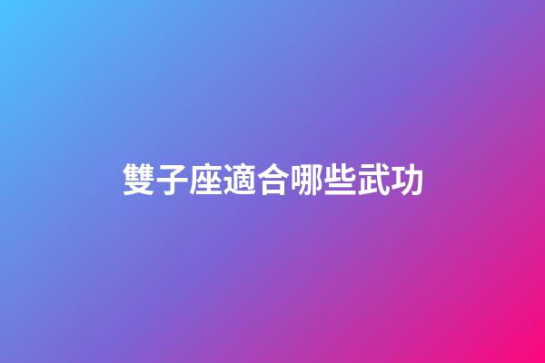 雙子座適合哪些武功-第1張-星座運勢-玄機派