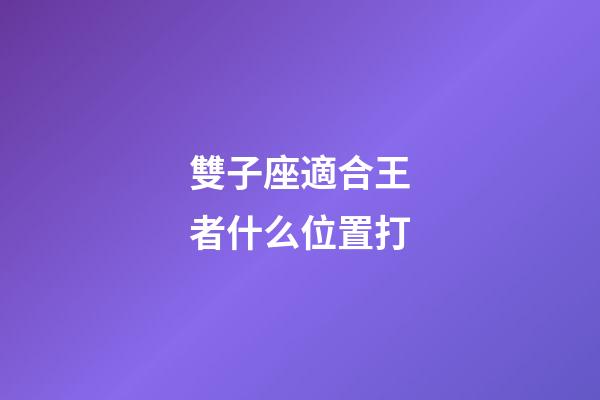 雙子座適合王者什么位置打-第1張-星座運勢-玄機派