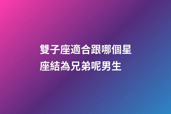 雙子座適合跟哪個星座結為兄弟呢男生-第1張-星座運勢-玄機派