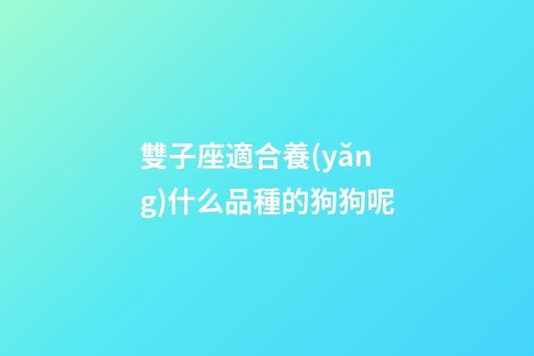 雙子座適合養(yǎng)什么品種的狗狗呢-第1張-星座運(yùn)勢-玄機(jī)派