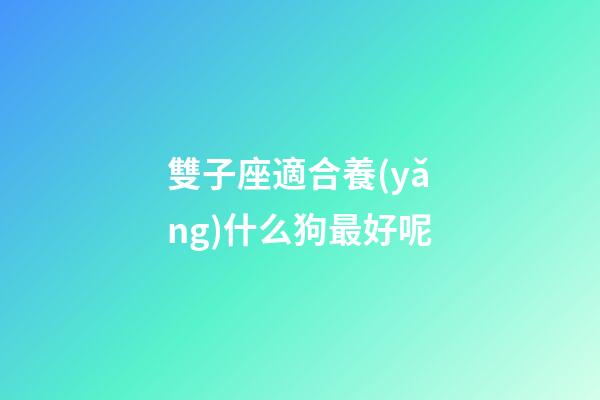 雙子座適合養(yǎng)什么狗最好呢-第1張-星座運勢-玄機派