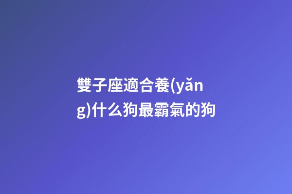 雙子座適合養(yǎng)什么狗最霸氣的狗-第1張-星座運(yùn)勢(shì)-玄機(jī)派