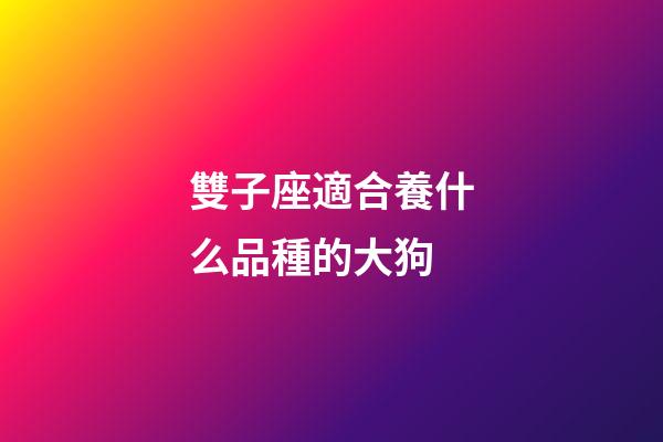 雙子座適合養什么品種的大狗-第1張-星座運勢-玄機派