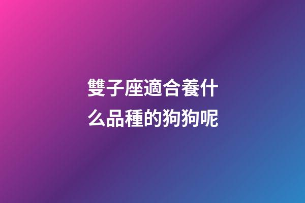 雙子座適合養什么品種的狗狗呢