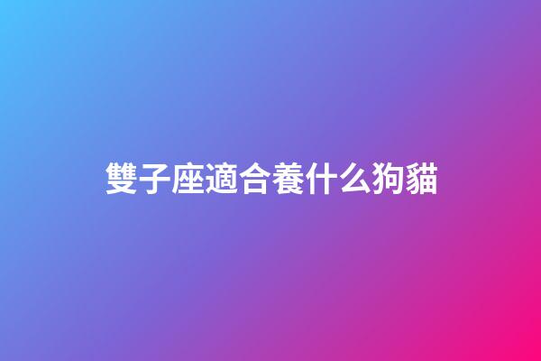 雙子座適合養什么狗貓-第1張-星座運勢-玄機派