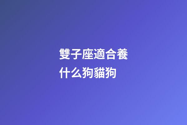 雙子座適合養什么狗貓狗-第1張-星座運勢-玄機派