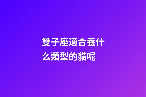 雙子座適合養什么類型的貓呢-第1張-星座運勢-玄機派