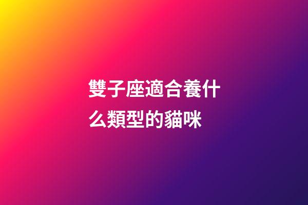 雙子座適合養什么類型的貓咪-第1張-星座運勢-玄機派