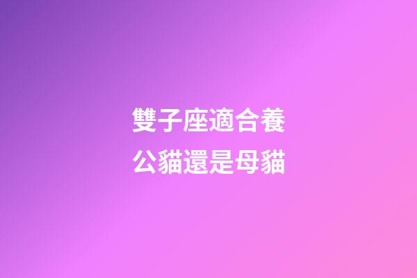 雙子座適合養公貓還是母貓