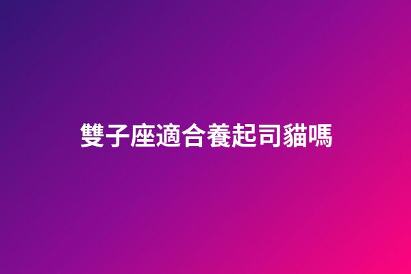 雙子座適合養起司貓嗎-第1張-星座運勢-玄機派