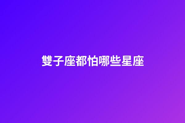 雙子座都怕哪些星座-第1張-星座運勢-玄機派