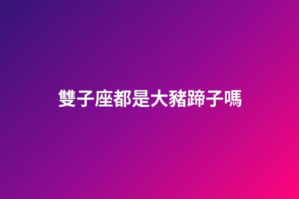雙子座都是大豬蹄子嗎-第1張-星座運勢-玄機派