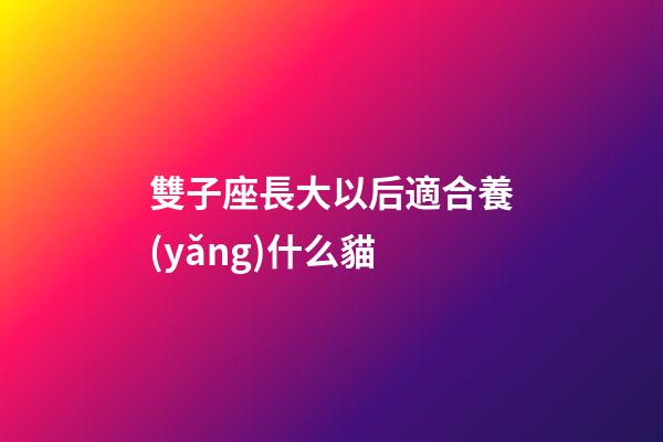 雙子座長大以后適合養(yǎng)什么貓-第1張-星座運勢-玄機派