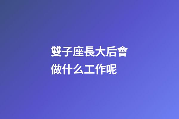 雙子座長大后會做什么工作呢-第1張-星座運勢-玄機派