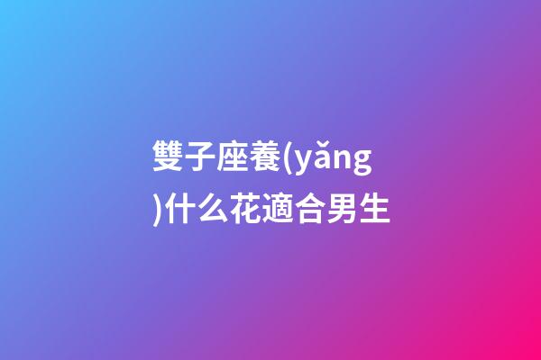 雙子座養(yǎng)什么花適合男生