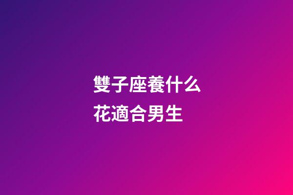 雙子座養什么花適合男生