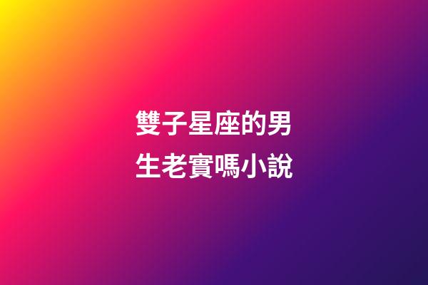 雙子星座的男生老實嗎小說