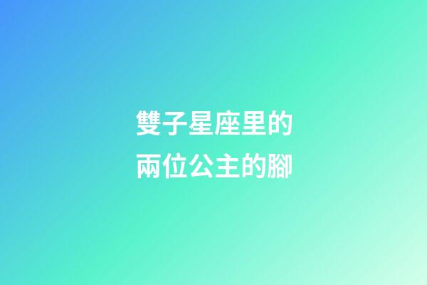 雙子星座里的兩位公主的腳-第1張-星座運勢-玄機派