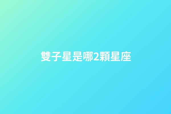 雙子星是哪2顆星座