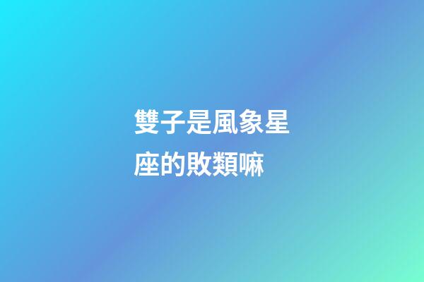 雙子是風象星座的敗類嘛-第1張-星座運勢-玄機派