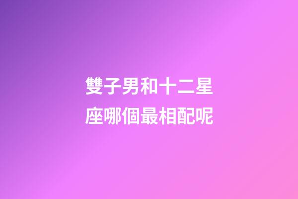 雙子男和十二星座哪個最相配呢-第1張-星座運勢-玄機派