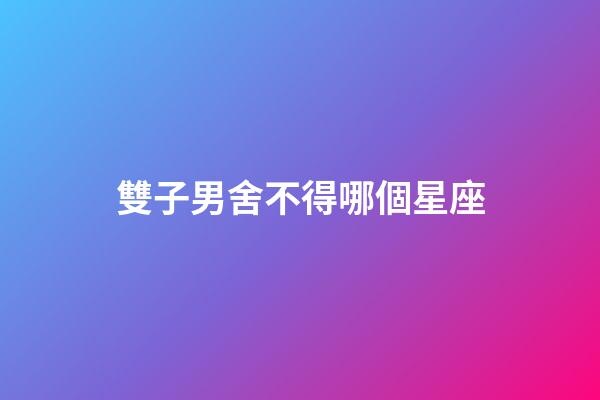 雙子男舍不得哪個星座-第1張-星座運勢-玄機派