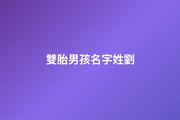 雙胎男孩名字姓劉(姓劉雙胎男孩的名字)-第1張-男孩起名-玄機(jī)派