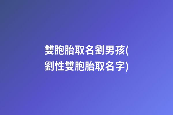 雙胞胎取名劉男孩(劉性雙胞胎取名字)