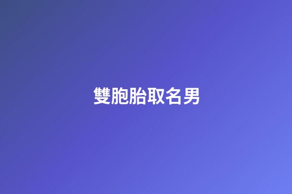 雙胞胎取名男(雙胞胎取名男知乎)-第1張-男孩起名-玄機派