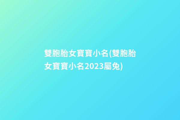 雙胞胎女寶寶小名(雙胞胎女寶寶小名2023屬兔)