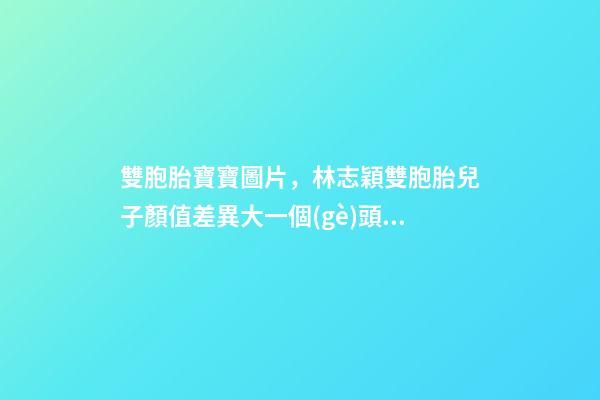 雙胞胎寶寶圖片，林志穎雙胞胎兒子顏值差異大一個(gè)頭大吸睛