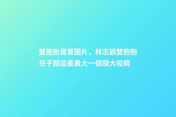 雙胞胎寶寶圖片，林志穎雙胞胎兒子顏值差異大一個頭大吸睛-第1張-觀點-玄機派