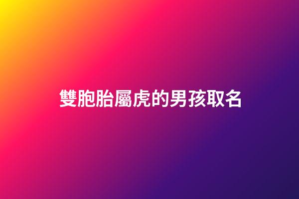雙胞胎屬虎的男孩取名(虎年雙胞胎男孩取名字大全2023)-第1張-男孩起名-玄機(jī)派
