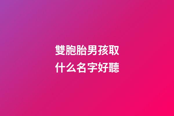 雙胞胎男孩取什么名字好聽(雙胞胎男孩起名雙胞胎男孩名字)-第1張-男孩起名-玄機派