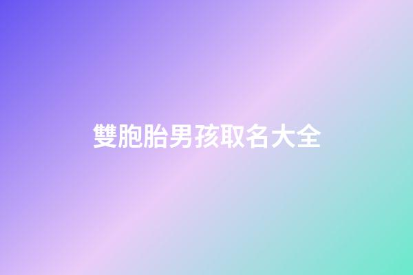 雙胞胎男孩取名大全(雙胞胎男孩取名大全免費)-第1張-男孩起名-玄機派