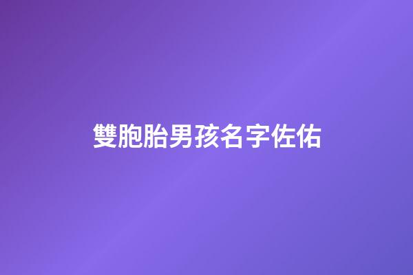 雙胞胎男孩名字佐佑(雙胞胎名字帶左右)-第1張-男孩起名-玄機派