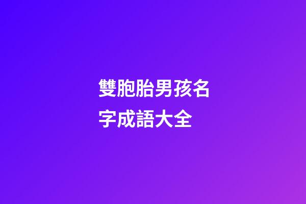 雙胞胎男孩名字成語大全(雙胞胎男寶寶取名成語)-第1張-男孩起名-玄機派