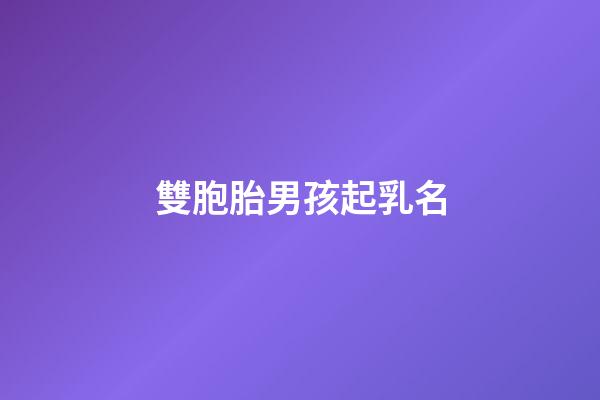 雙胞胎男孩起乳名(雙胞胎男孩乳名大全)-第1張-男孩起名-玄機派