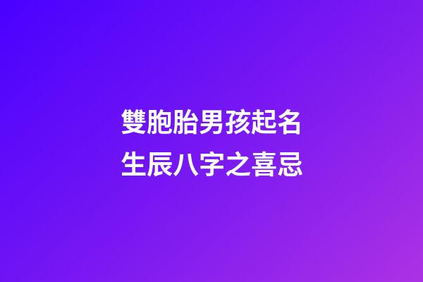 雙胞胎男孩起名生辰八字之喜忌