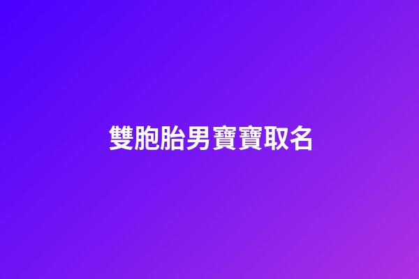 雙胞胎男寶寶取名(雙胞胎男寶寶取名字大全集2023)-第1張-男孩起名-玄機(jī)派
