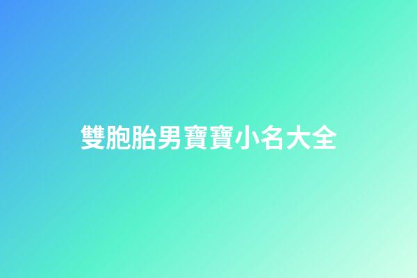 雙胞胎男寶寶小名大全(雙胞胎男寶寶小名大全2023洋氣)-第1張-男孩起名-玄機(jī)派