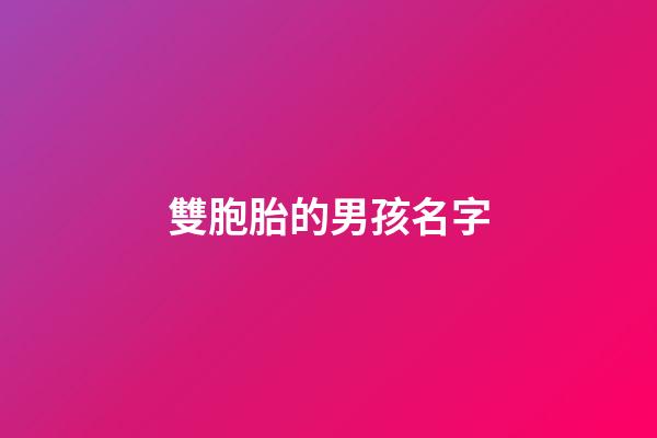 雙胞胎的男孩名字(雙胞胎男孩名字集錦)-第1張-男孩起名-玄機(jī)派