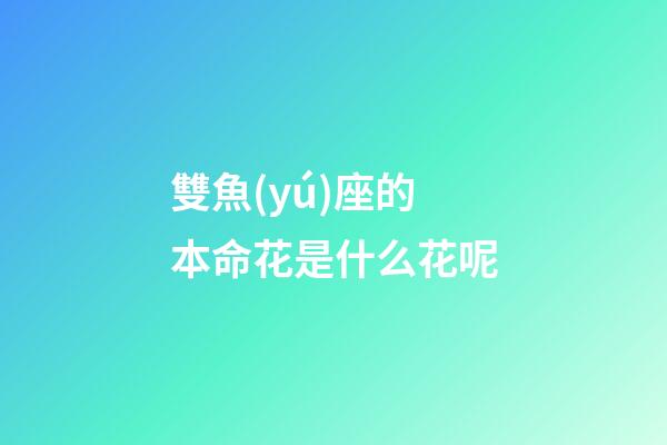雙魚(yú)座的本命花是什么花呢