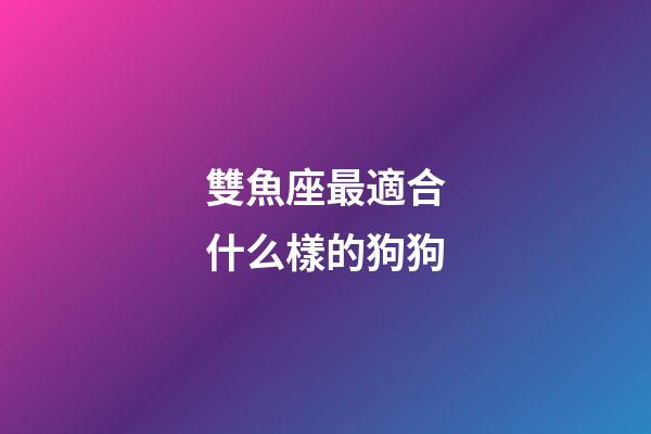 雙魚座最適合什么樣的狗狗-第1張-星座運勢-玄機派