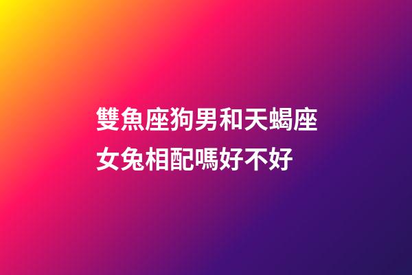 雙魚座狗男和天蝎座女兔相配嗎好不好-第1張-星座運(yùn)勢-玄機(jī)派