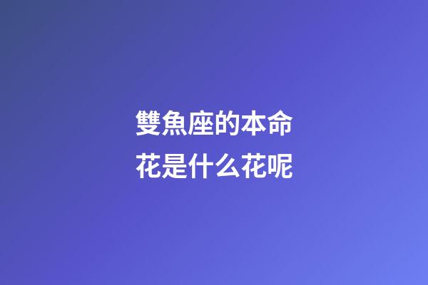 雙魚座的本命花是什么花呢-第1張-星座運勢-玄機派