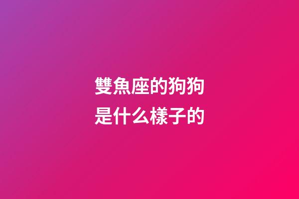 雙魚座的狗狗是什么樣子的-第1張-星座運勢-玄機派