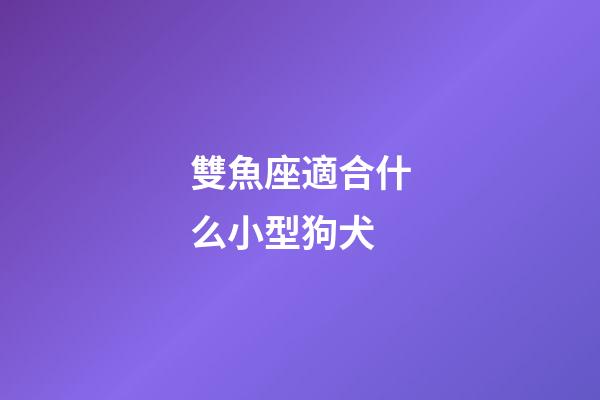 雙魚座適合什么小型狗犬-第1張-星座運勢-玄機派