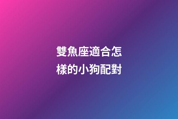 雙魚座適合怎樣的小狗配對-第1張-星座運勢-玄機派
