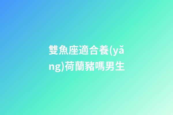 雙魚座適合養(yǎng)荷蘭豬嗎男生
